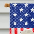 thumbnail image 3 of Carolines Treasures BB3377CHF USA Patriotic Anatolian Shepherd Flag Canvas House Size  Large multicolor, 3 of 4