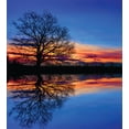thumbnail image 3 of Panorama Duvet Cover Set, Tree Against Sunset View at Night with Sky Reflection over the Lake Print, Decorative 2 Piece Bedding Set with 1 Pillow Shams, Twin Size, Blue Orange, by Ambesonne, 3 of 3