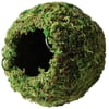 Mossy Caves Green 4In