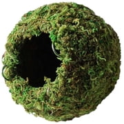 Mossy Caves Green 4In
