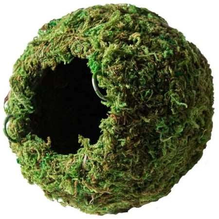 Mossy Caves Green 4In