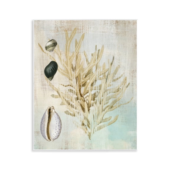 Stupell Industries Coral Branch & Cowrie Shells Animals Painting Unframed Art Print Wall Art, 11 x 14