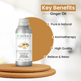 thumbnail image 2 of PUROLEO Ginger Essential Oil 8 Fl Oz/236 ML (Packed In Canada) 100% Pure, Natural and Authentic Aromatherapy Oil for Diffuser, Massage and DIY Blends - Soothes, Calms and Energizes, 2 of 5