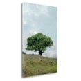 thumbnail image 1 of Tangletown Fine Art Oak Tree - 80 By Alan Blaustein,  Gallery Wrap Canvas, 1 of 2