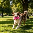 thumbnail image 6 of FTsdfkl 3.5Inch Soft Small Rubber Bone Pet Dog Puppy Cat Toys,Interactive For Cats Play Tug Chew Exercise, Colorful Dot Toy for Puppy Games, 6 of 6