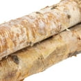 thumbnail image 5 of Northlight 38.5" Birch Wood Branch Bundle Christmas Display, 5 of 5