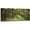 Wallart-14, variant on Forest Wall Art Set of 3 - Oaks Avenue Charleston SC Plantation Live Oak Trees Forest Landscape - Perfect for Modern Home Decor - Ideal Wall Decor for Living Room Bedroom and Office (12"x16"x3)