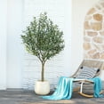 thumbnail image 5 of DR.Planzen 6ft Dense Artificial Olive Tree - Faux Olive Plant for Indoor & Outdoor Decor - Adjustable Branches - UV Resistant Realistic Olive Tree with Black Plastic Pot, 5 of 12