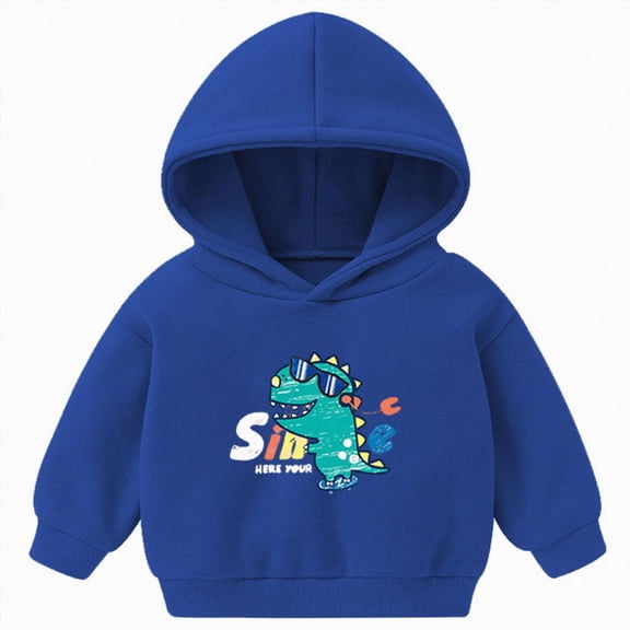 Splozh Sweatshirt for Boys Girls Hooded Sweatshirts Fleece Toddler Clothing Cartoon Prints Long Sleeve Tops for Kids,Blue,2-3 Years
