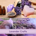 thumbnail image 2 of 100 G/Bag Dried Lavender,Grade Loose Dried Flower Buds,Natural Dried Lavender Flowers,Organic Dried Lavender Flowers,for Wedding,Crafts,Bath,Home Decoration, 2 of 6