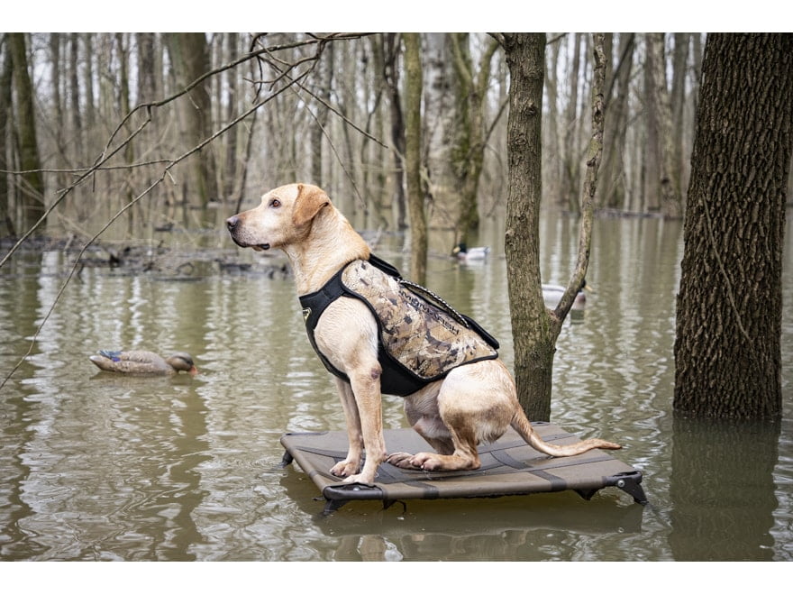 MOmarsh Versa Vest Dog Vest