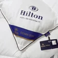thumbnail image 5 of Edredones de plumón de ganso para hotel de 5 estrellas HILTON Edredones de invierno para las cuatro estaciones Edredones cálidos para cama doble Edredones con aire acondicionado, 5 of 5