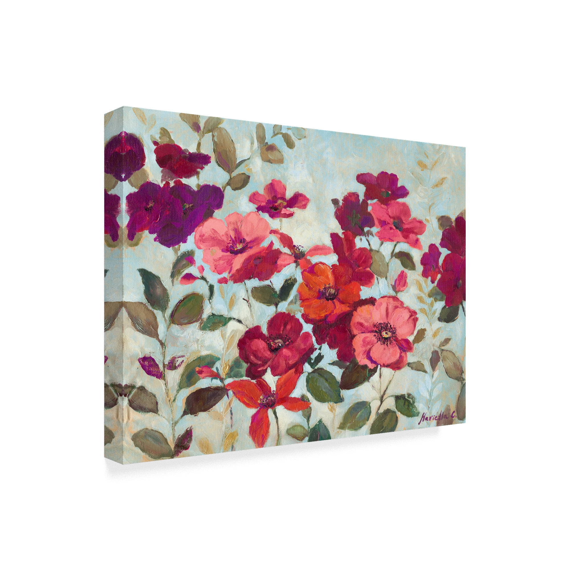Trademark Fine Art 'Red And Pink Flowers' Canvas Art by Marietta Cohen Art And Design
