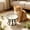 White_Base#411, variant on Ceramic Raised Pet Bowl with Non Slip Stand, Food and Water Bowl for Cats and Small to Medium Dogs, White, 6.26 Inch