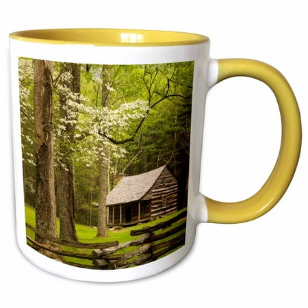 3dRose Tennessee, Great Smoky Mountain NP, Cades Cove cabin - US11 JWL0271 - Joanne Wells - Two Tone Yellow Mug,