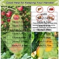 thumbnail image 3 of 100PCS Fruit Protection Netting Bags for Fruit Trees, 12x16 inch Green Netting Fruit Cover Bags Drawstring Mesh Fruit Protectors Barrier Bags to Protect Plants from Pest Birds Squirrels, 3 of 8