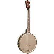 Gold Tone IT-250 4-String Irish Tenor Open Back Banjo Natural