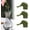 F, variant on WZXPWT Shaped Cutting Support, Propagation Station for Indoor Gardening, Decorative Plant Holders for Water Propagation