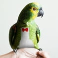 thumbnail image 4 of Bird Diaper Flight Bird Clothes Liner Breathable Bird Diaper Parrot Clothing Accessory, 4 of 8
