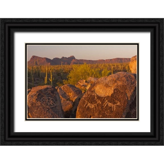 Illg, Cathy and Gordon 32x23 Black Ornate Wood Framed with Double Matting Museum Art Print Titled - AZ, Sonoran Desert Saguaro and petroglyphs
