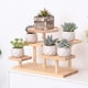 thumbnail image 5 of Estantería de Madera de Varios Niveles - Estantería de 5 Niveles para Plantas, Figuras y Decoración - Estantería de Madera Maciza Color Beige con Superficie Antideslizante, 32 X 16 X 6 Cm, 5 of 7