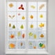 thumbnail image 4 of Etiqueta De La Pared De La Ventana Calcomanías De Hojas De Arce De Otoño Diy Etiqueta De Vidrio De Pvc Para La Decoración De La Ventana De La Puerta De Acción De Gracias Inevent HA037175-00, 4 of 6