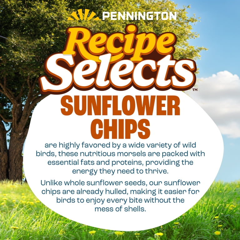 Pennington Sunflower Chips No-Shell Bird Food, 5 Lb photo 4