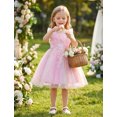 thumbnail image 6 of IBTOM CASTLE Toddler Girl Birthday Butterfly Dress Sequins Flower Girl Dress Tulle Tutu Formal Party Dress, Star Sequins Pageant Wedding Dress 3-4T Pink, 6 of 7