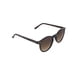 thumbnail image 3 of LENTES DE SOL TOMMY HILFIGER EYEWEAR 66397582 MARRóN, 3 of 4