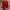 Red#2, variant on Rollbacks & More GaThRRgYP Off the Shoulder Tops for Women,Womens Summer Tops Clearance under $5,Fashion Women Pullove Solid Long Sleeve Casual Shirt Blouse Tops