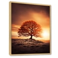 thumbnail image 2 of Designart "Brown Tree Dusks Beauty I" Landscape Trees Floater Framed Canvas Print, 2 of 7