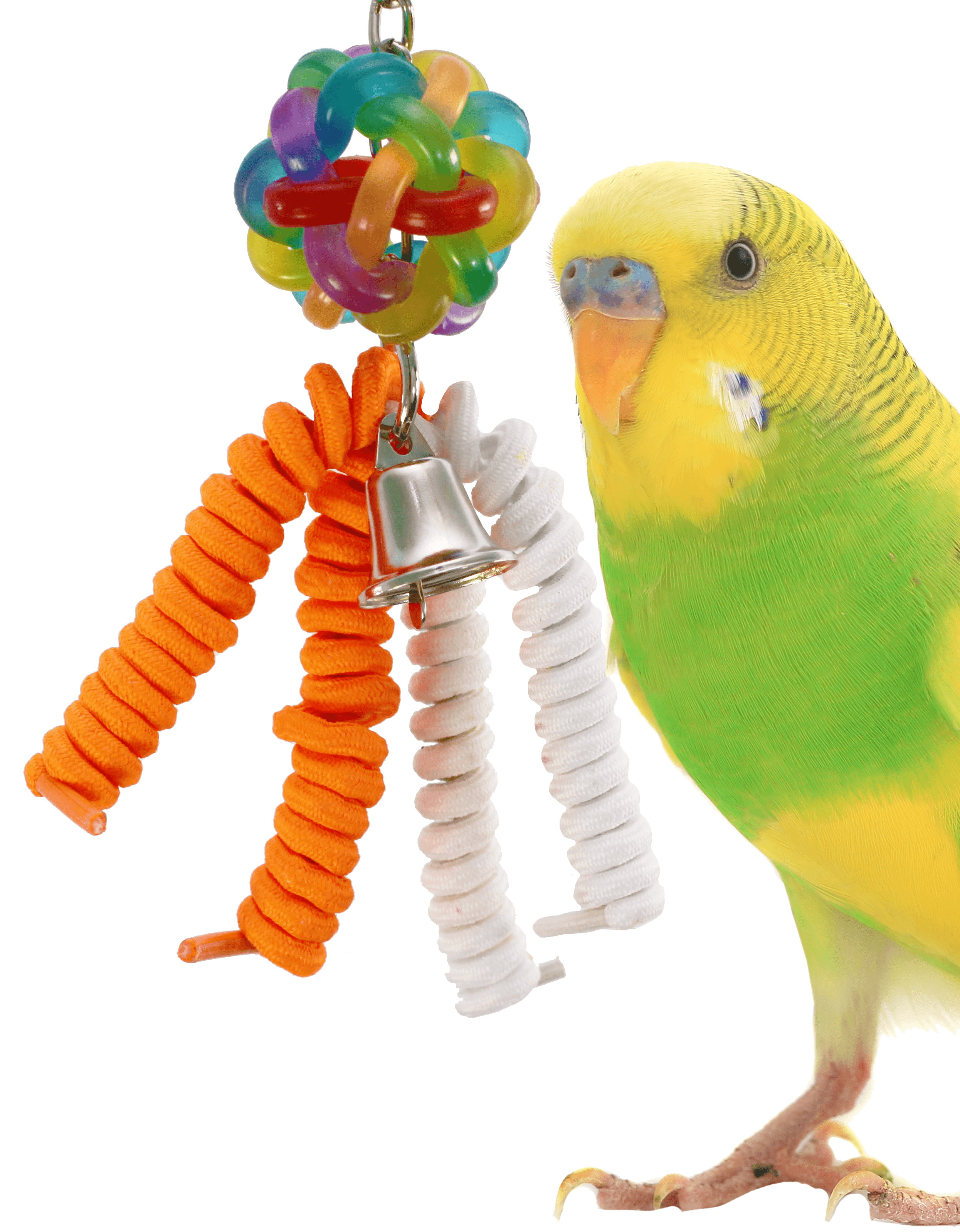 bird toys walmart