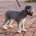 thumbnail image 5 of Winter Plush Dog Booties - Comfortable Anti-Slip Pet Shoes with Zipper Closures for Outdoor Walking, 5 of 8