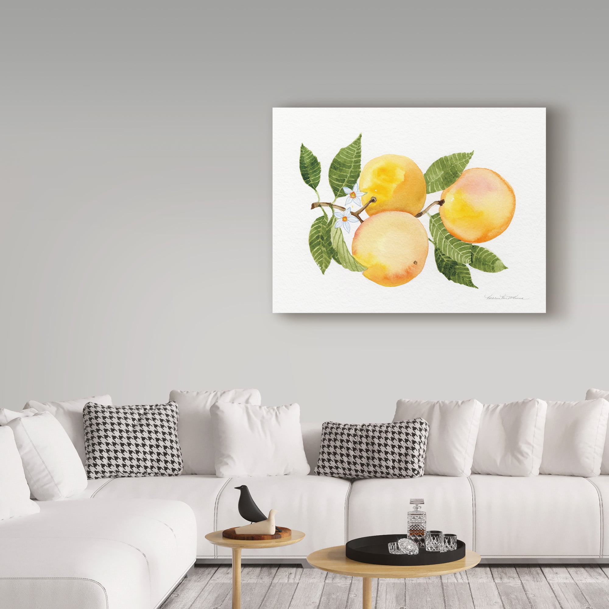 Trademark Fine Art 'Citrus Garden III' Canvas Art by Kathleen Parr McKenna