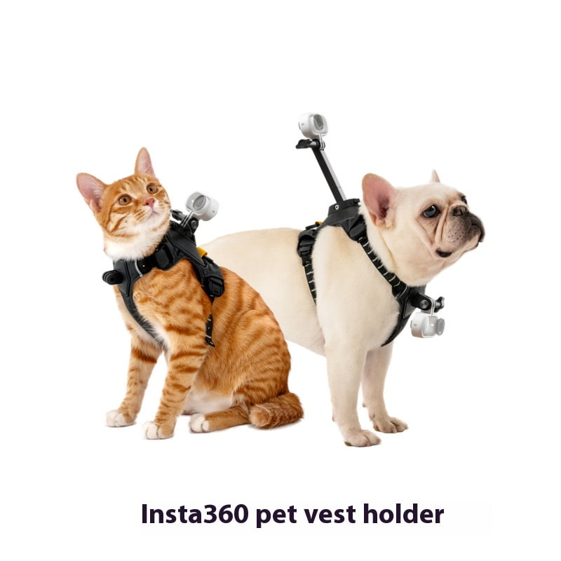 Dual-Angle Pet Camera Harness - Bigcan Adjustable Dog Chest & Back Mount Vest Compatible with GO 3S/GO 3/GO 2, Lightweight Breathable Strap for Small Medium Pets