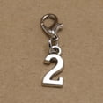 thumbnail image 4 of 20pcs Alloy 2 Shape Pendants with Lobster Clasp DIY Arabic Numeral Dangle Charms Jewelry Making Accessory for Earrings, 4 of 9
