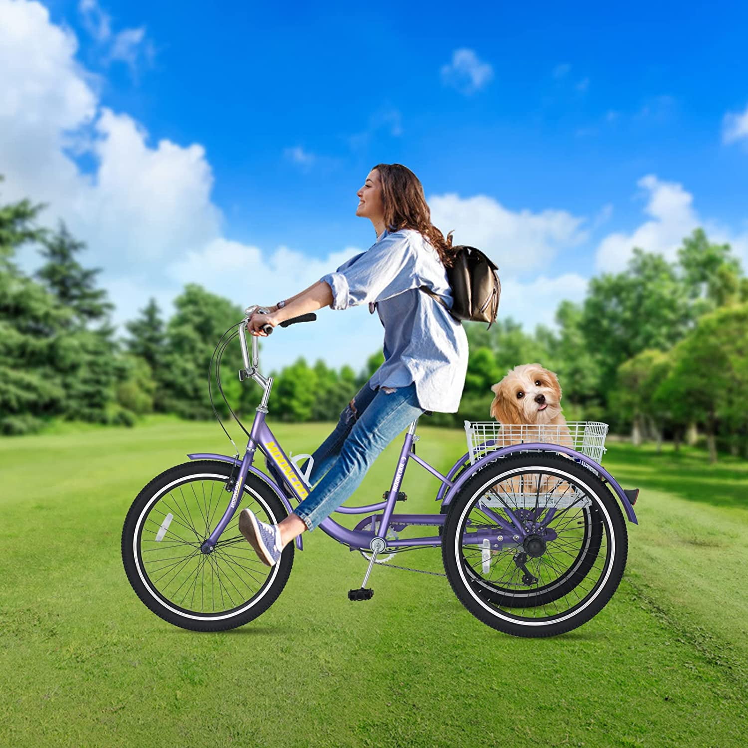 three wheel beach cruiser bikes
