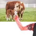 thumbnail image 4 of Guante De Inseminación Artificial, Dureza 100PCS Guantes Desechables Brazo Largo Para Granja Para Cría De Animales Higoodz Otros, 4 of 8