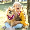 thumbnail image 5 of Valentine's Day Translucent Light Chiffon Yarn Pet Collars, Pack of Two - Breathable and Stylish - Sizes 40.6x40.6x58in and 53.3x53.3x76.2in, 5 of 5
