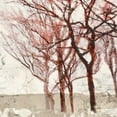 thumbnail image 2 of Alessio, Aprile 26x26 White Modern Wood Framed Museum Art Print Titled - Rusty Trees II, 2 of 4