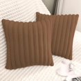 thumbnail image 1 of Chenchen 2 Pack 18x18 Pillow Cover Velvet Pillow Covers, Faux Fur Square Throw Pillow Covers for Living Room Decorations Throw Pillow Case, Throw Pillow Cover Cushion Cover for Sofa Bedroom Car, Brown, 1 of 1