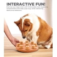 thumbnail image 4 of Juego de rompecabezas interactivo Dog Toy Outward Hound Nina Ottosson, 4 of 16