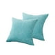thumbnail image 1 of Toystoory 2 piezas de fundas de almohada para sala de estar, cama, funda de almohada cuadrada decorativa, funda de cojín para coche, suministros Decoración del hogar Cielo azul, 1 of 6