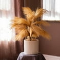 thumbnail image 6 of Faux Plant Reed Grass Stem In Various Colors 30" Tall, 6 of 8