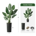 thumbnail image 5 of Artificial Tree in Geometric Spiral Pattern Planter, Fake Bird of Paradise Silk Tree for Indoor and Outdoor Home Decoration - 67" Overall Tall (Plant Pot Plus Tree), 5 of 5