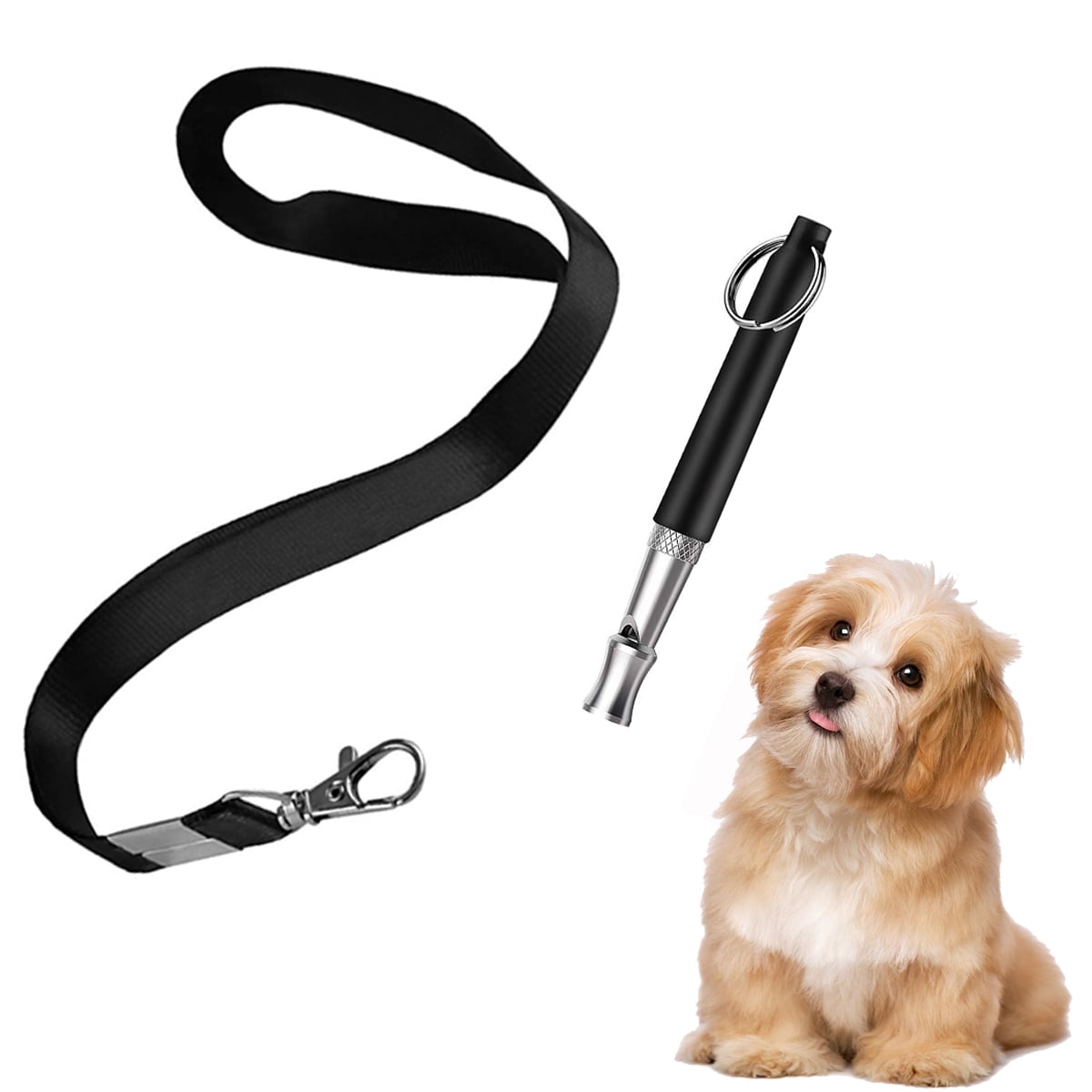 Black XQFI Dog Whistle Professional Dog Training Whistle to Stop Barking,Professional Ultrasonic Adjustable High Pitch Ultra-Sonic Sound Tool with Free Premium Quality Lanyard Strap