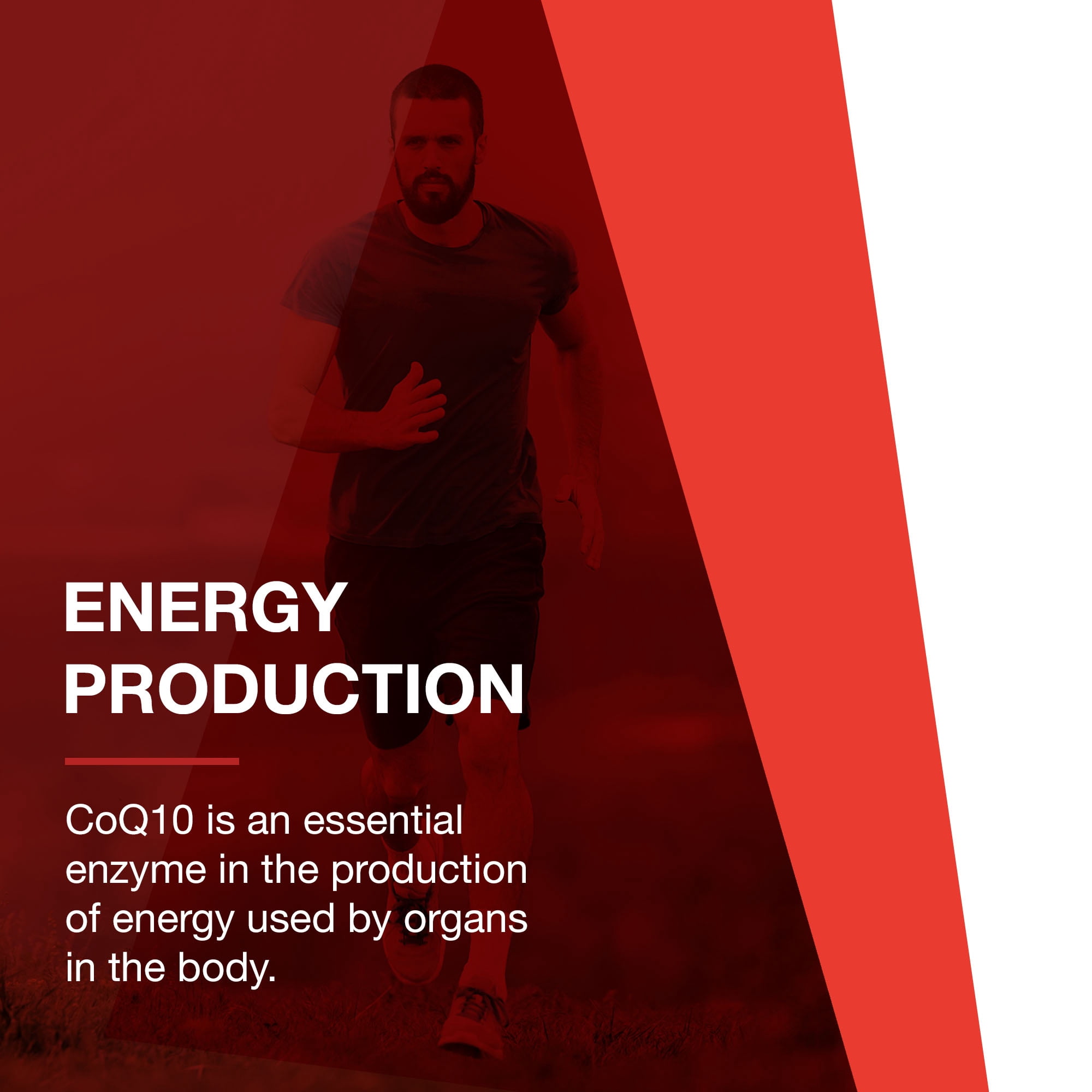 Protocol for Life Balance Ubiquinol CoQ10 200 mg - 60 Softgels