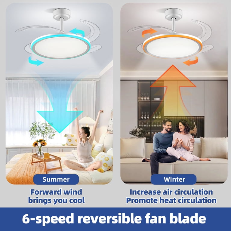 Smart Ceiling Fan With Lights 24