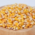 thumbnail image 1 of Grains de Maïs Jaunes, 1 of 1