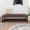 Dark Brown + PU, variant on Bedroom End of Bed Bench Tufted Upholstered End of Bed Bench End of Bed Entrance Shoe Bench, 60" with Nailhead Trim and Shelf Bedroom Upholstered Leather Bench Living Room Shoe Rack Footstool (brown)